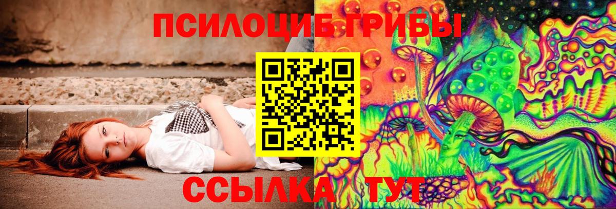 как найти наркотики  Псилоцибиновые грибы Psilocybine cubensis  Балтийск  Вход с VPN  Галлюциногенные грибы Cubensis 